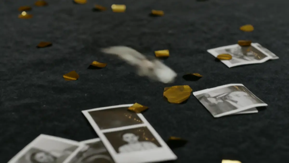 Photo booth strips scattered with gold confetti on dark velvet